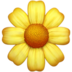 苹果系统里的开花emoji表情