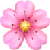 苹果系统里的樱花emoji表情