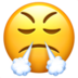 苹果系统里的愤怒、鼻子冒白气的脸emoji表情
