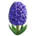 苹果系统里的风信子emoji表情