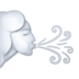 苹果系统里的迎风面emoji表情