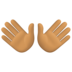Facebook上的双手张开：中等肤色emoji表情