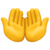 Facebook上的手掌向上emoji表情