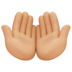 Facebook上的手掌向上：中等浅肤色emoji表情
