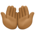 Facebook上的掌心向上：中黑肤色emoji表情