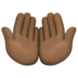 Facebook上的手掌向上：深色肤色emoji表情
