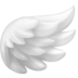 Facebook上的翅膀emoji表情