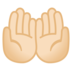 安卓系统里的手掌向上：浅肤色emoji表情