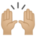 安卓系统里的举起手：中等浅肤色emoji表情