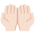 Twitter里的手掌向上：浅肤色emoji表情
