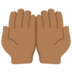 Twitter里的掌心向上：中黑肤色emoji表情