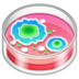 WhatsApp里的培养皿emoji表情