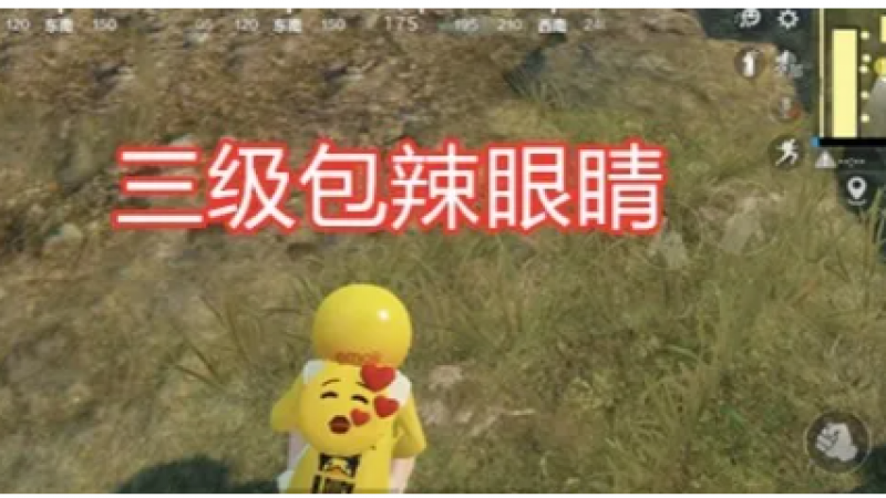 吃鸡：玩家用小黄鸭配Emoji，看到三级包后，网友：太辣眼！