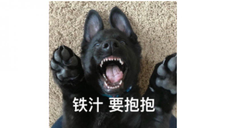 抱抱可爱表情包|富婆，看看我，抱抱我可好