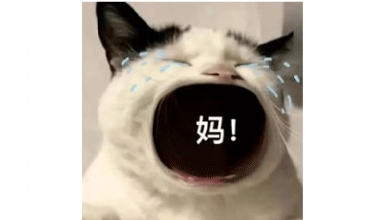 表情包 | 大嘴猫咪表情包